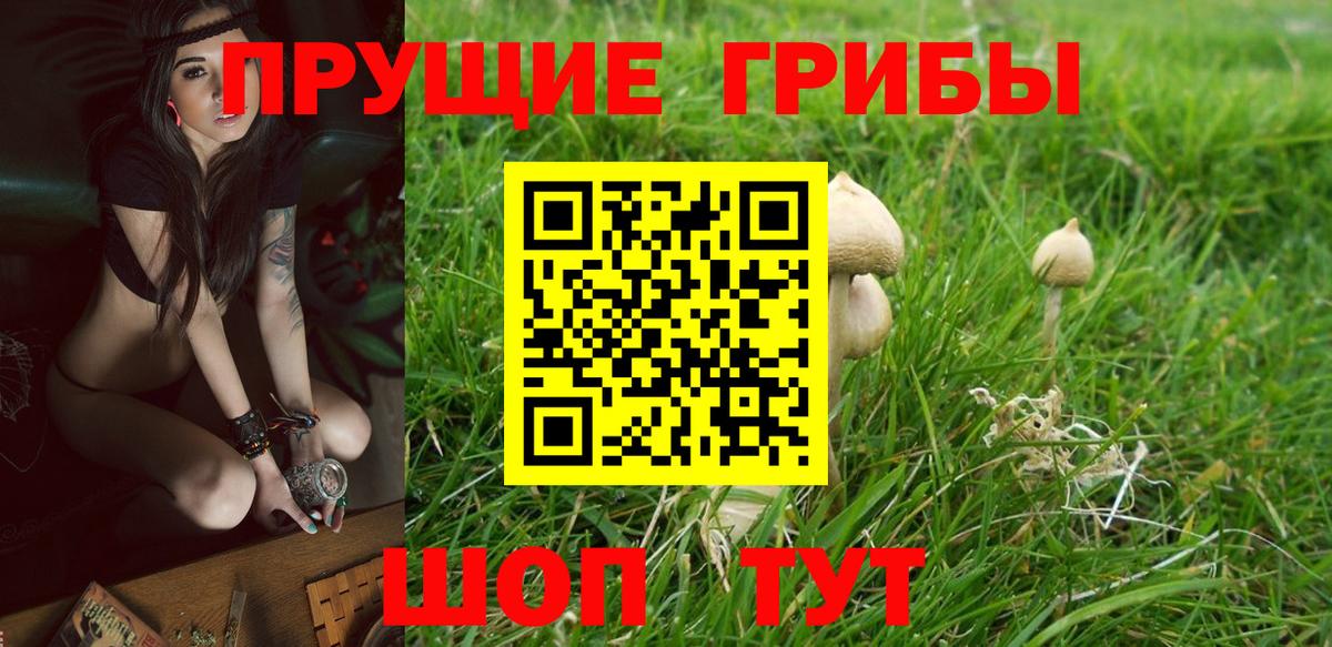 Галлюциногенные грибы Cubensis  Вход с VPN  Галлюциногенные грибы ЛСД  Лабинск 